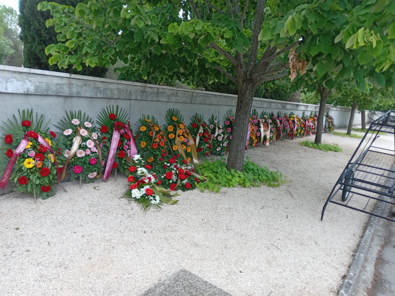 Funeral Arrangement