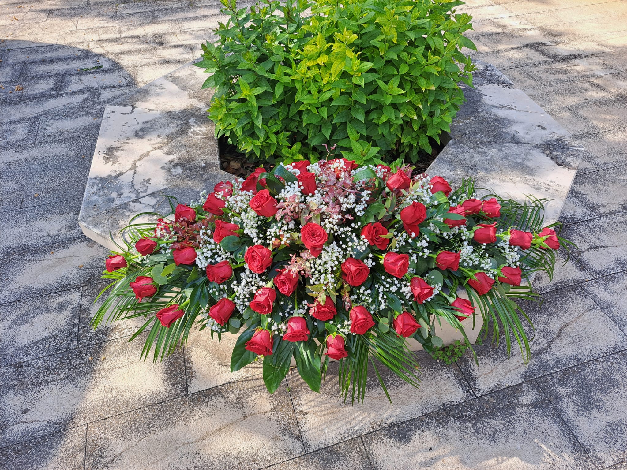 Funeral Arrangement